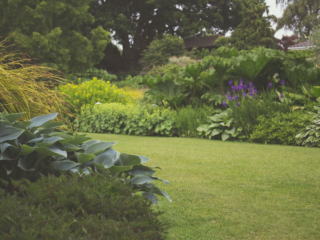 Transform Your Garden Waste into Gold: Composting 101