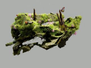 Beginner-Friendly Ways to Start Turning Your Images into 3D Models