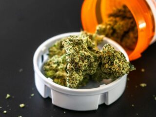 Cannabis Around the World: Why Your Legal Product at Home Might Be Contraband Across the Border