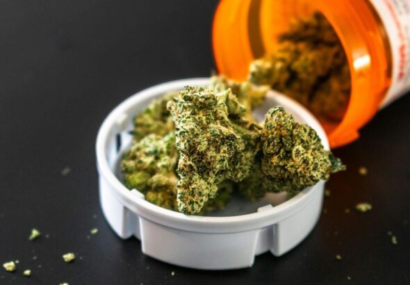 Cannabis Around the World: Why Your Legal Product at Home Might Be Contraband Across the Border
